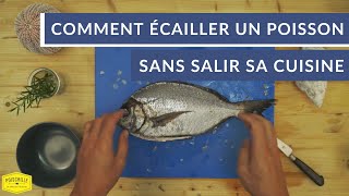 Comment écailler un poisson sans salir sa cuisine   2 techniques [upl. by Mistrot682]