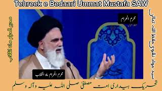 محرم ماہ انقلاب ہے  Moharam maah e inqilab hy  syed Jwad naqwi سید جواد نقوی [upl. by Aitsirhc868]