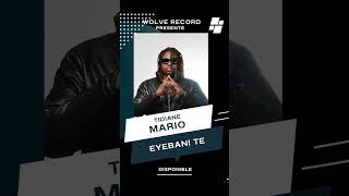 Tidiane Mario  Eyebani Té  AUDIO [upl. by Wye98]