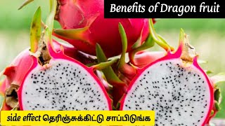 dragon fruits benefits and side effects in tamil [upl. by Proudfoot]