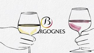 Comment sont classés les vins de Bourgogne [upl. by Graybill]