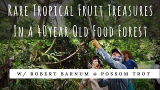 40 Year Old Food Forest Gummy Bear Fruit Bilimbi Mountain Soursop  Part 1 of 2 [upl. by Nyrhtakyram]