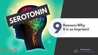 Serotonin Function and 9 Reasons Why Its So Important [upl. by Mellette]