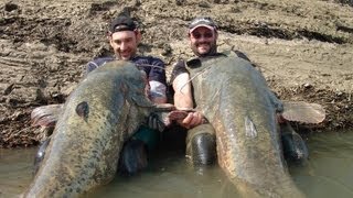 Catfishing Two Monsters Fish Record Over 220 pounds by Catfish World [upl. by Laaspere]