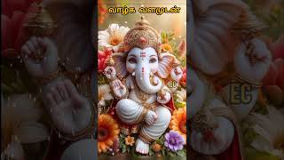 Blessing from lord Ganesha ytviral happyvinayagarchaturthi godblessings ytshorts [upl. by Sharos923]