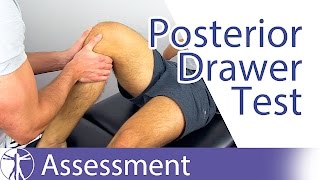 Posterior Drawer Test  Posterior Cruciate Ligament [upl. by Atteynad]