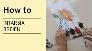 Tutorial  Intarsia breien  VERITAS [upl. by Nace862]