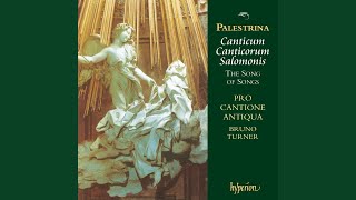 Palestrina Canticum Canticorum quotThe Song of Songsquot VII Fasciculus myrrhae dilectus meus [upl. by Ahsiekram535]