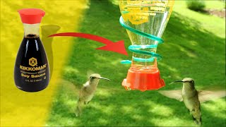 Easiest Cheapest Best DIY Hummingbird Feeder Ever from Soy Sauce [upl. by Aehsat]