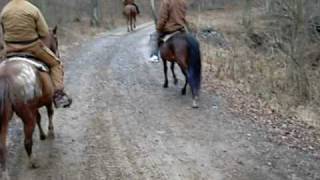 My horse falling off a bridge [upl. by Audi193]