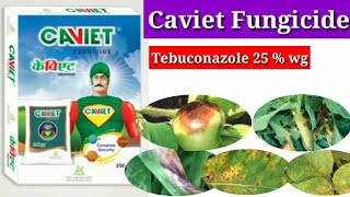 Caviet fungicide  Caviet  Tebuconazole 25  wg  Excel crop care [upl. by Niletac]