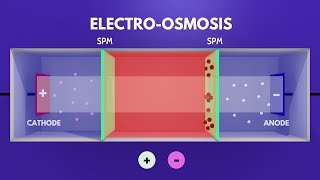 Electrosmosis Animation Video Play Chemistry [upl. by Ynneg460]