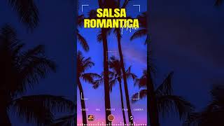 Salsa 2024 Lo Mas Nuevo Estrenos [upl. by Ydnes125]