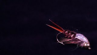 Twenty Incher Stonefly Fly Tying Tutorial [upl. by Crescint]