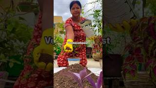 Prepare soil mix for winter flower plants 🪴 ashortaday gardening [upl. by Laws996]