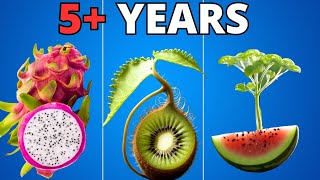 I Grew Plants for 5 YEARS to Make This TIMELAPSE Compilation [upl. by Yrannav]