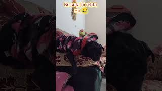 Sona pasand hai 🫨🤭sleep nind popular trending viralvideo [upl. by Pandolfi]