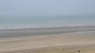 🔴 Live Webcam  Brasserie Leopold I  De Panne Belgium [upl. by Ycniuqed]