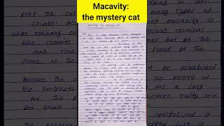 macavity the mystery cat 12thenglishsummary summary english 12thenglish shorts viral trending [upl. by Ataymik]