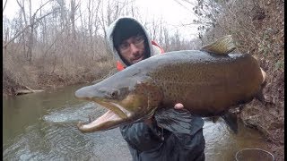 Fishing Small Creeks for The Biggest Trout Ive Ever Seen [upl. by Ahsinrats]