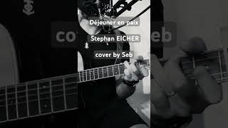 Déjeuner en paix  Stephan EICHER  cover by Seb [upl. by Hsivat]