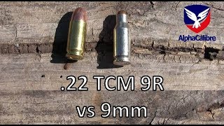 22 TCM 9R vs 9mm [upl. by Ellevel]