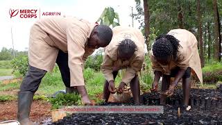 How an Agroforestry Champion increased seedling Yields from 10 to 20 bags per acre [upl. by Nerty]