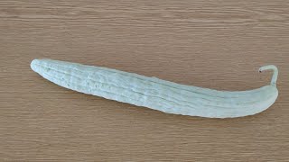 Yard Long Cucumber is actually a Muskmelon Cucumis melo var flexuosus [upl. by Denton114]