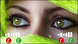 New Ringtone 2024 Sad ringtone Hindi ringtone Mobile phone ringtoneFlute ringtone Best ringtone [upl. by Ayrolg717]