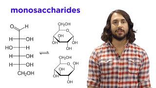 Carbohydrates Part 1 Simple Sugars and Fischer Projections [upl. by Ak]