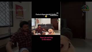 Choto alaparaighal Vjsiddhu vlogs vjsiddhuvlogs inivlogs gosucomedy [upl. by Wilonah]