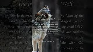 Mac Tire  Wolf irishlanguage irishwords gaeilge [upl. by Aloiv321]