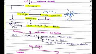 Blood Coagulation  Coagulation Cascade  Easy Way To Remember Intrinsic vs Extrinsic Pathways [upl. by Vashtia]