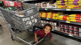 Winco grocery shopping with my two boys silly Eezy [upl. by Aimak746]