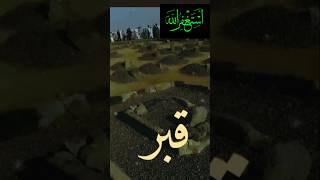 islamic YouTube short videos trading  bayanat [upl. by Stronski]