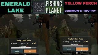 Fishing Planet EMERALD LAKE NEW YORK YELLOW PERCH COMMON amp TROPHY [upl. by Adrienne501]