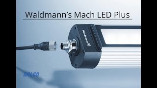 Waldmann’s Mach LED Plus series [upl. by Biondo]