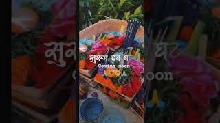 Chhat Puja Reels Video Status🙏 chhatpuja2024 chhatpujastatus chhatpujaspecial chhatpujavideo2024 [upl. by Darill974]