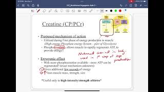 Nutritional Ergogenic Aids Part 2 [upl. by Tenom805]