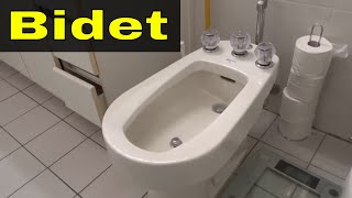 LEARN HOW TO USE A BIDET TOILET FOR BEGINNERS 💩 [upl. by Rasaec]