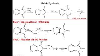 Lec9  Gabriel Synthesis of Primary Amines [upl. by Otsedom]