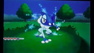 LIVE Shiny Frogadier in the Friend Safari after 1471 REs  Evolution Pokemon Y [upl. by Adnanref565]