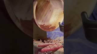 Beautiful Red Cedar Bowl gets inside Sealer watch it pop Shorts [upl. by Annig]