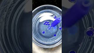 Satisfying blue acrylic paint water drops satisfyingartvideo shortart waterart [upl. by Annoyek]