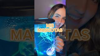 Mis mascotas medusas 🪼 asmr [upl. by Kappenne468]