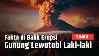 Gunung Lewotobi Lakilaki Erupsi Simak Fakta di Balik Letusan dan Sejarahnya  SINAU [upl. by Anayt]