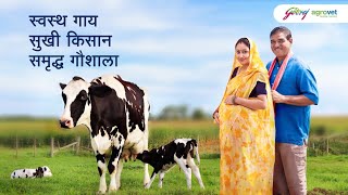 Godrej Agrovet  Prepwell │Pre  Calving Feed Suppliment  Hindi  2024 [upl. by Ellocin396]