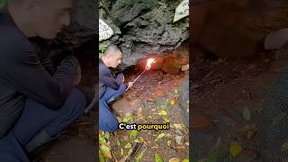 NExplorez Jamais Des Grottes Comme CelleCi 😲 [upl. by Aidnama]