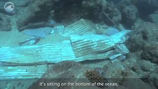 NOAA Ocean Today video Our Debris Filling the Sea [upl. by Malva89]