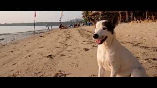 Castaway Beach Bungalows  The Movie Koh Phangan Thailand [upl. by Vladamar]